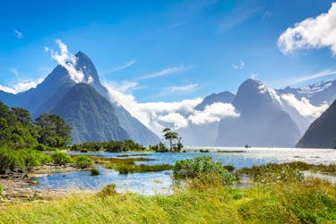 Milford Sound small-group tour with picnic lunch from Queenstown (return trip)